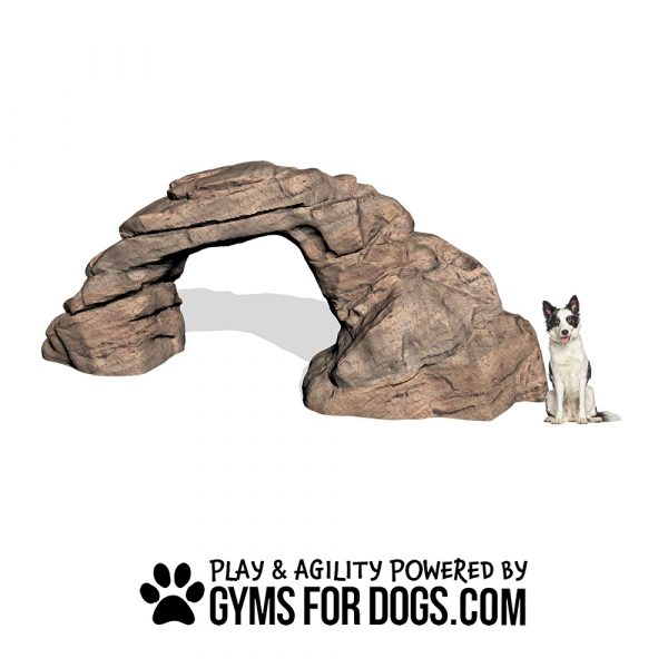 MotionMtnArch Sil gymsfordogs