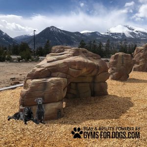 MotionMtnClimb GymsForDogs main2
