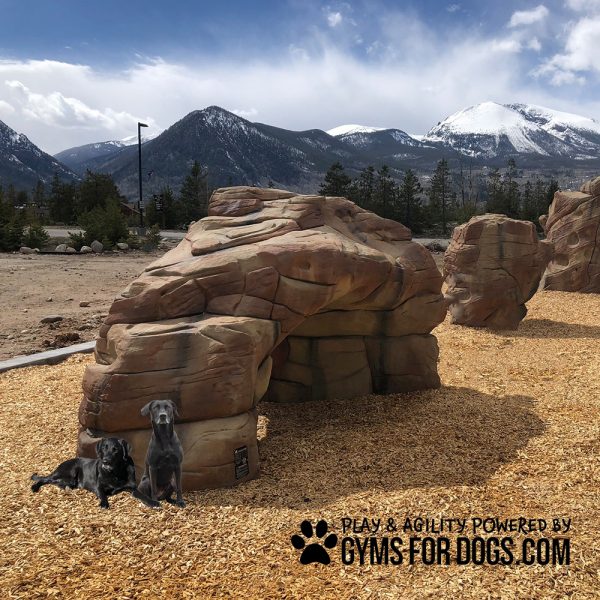 MotionMtnClimb GymsForDogs main2